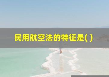 民用航空法的特征是( )